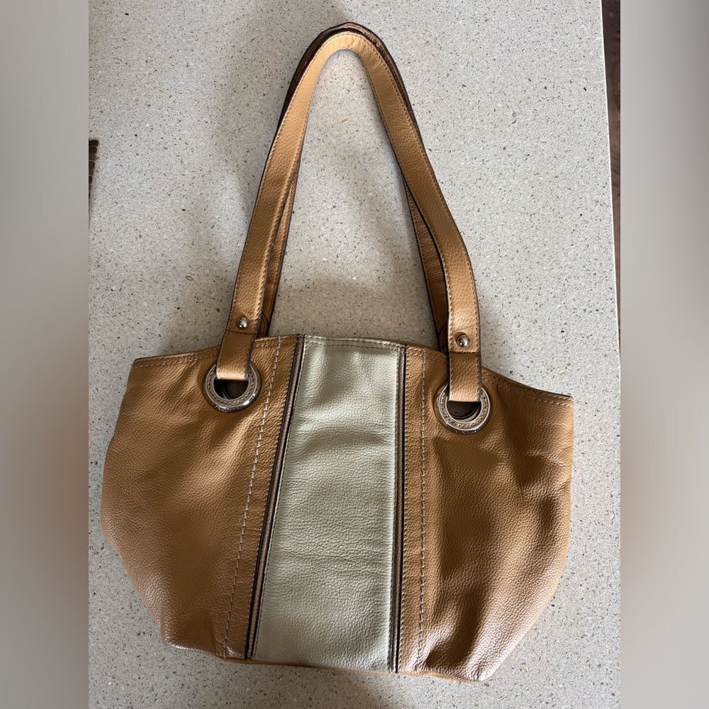Elegant Tan and Silver Women's Shoulder Bag by Tignanello